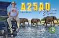 A25AO