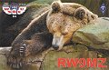 RW9MZ
