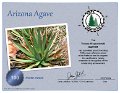 SQ2TOM_POTA_Arizona_Agave_Hunter
