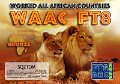 SQ2TOM-WAAC-BRONZE_FT8DMC